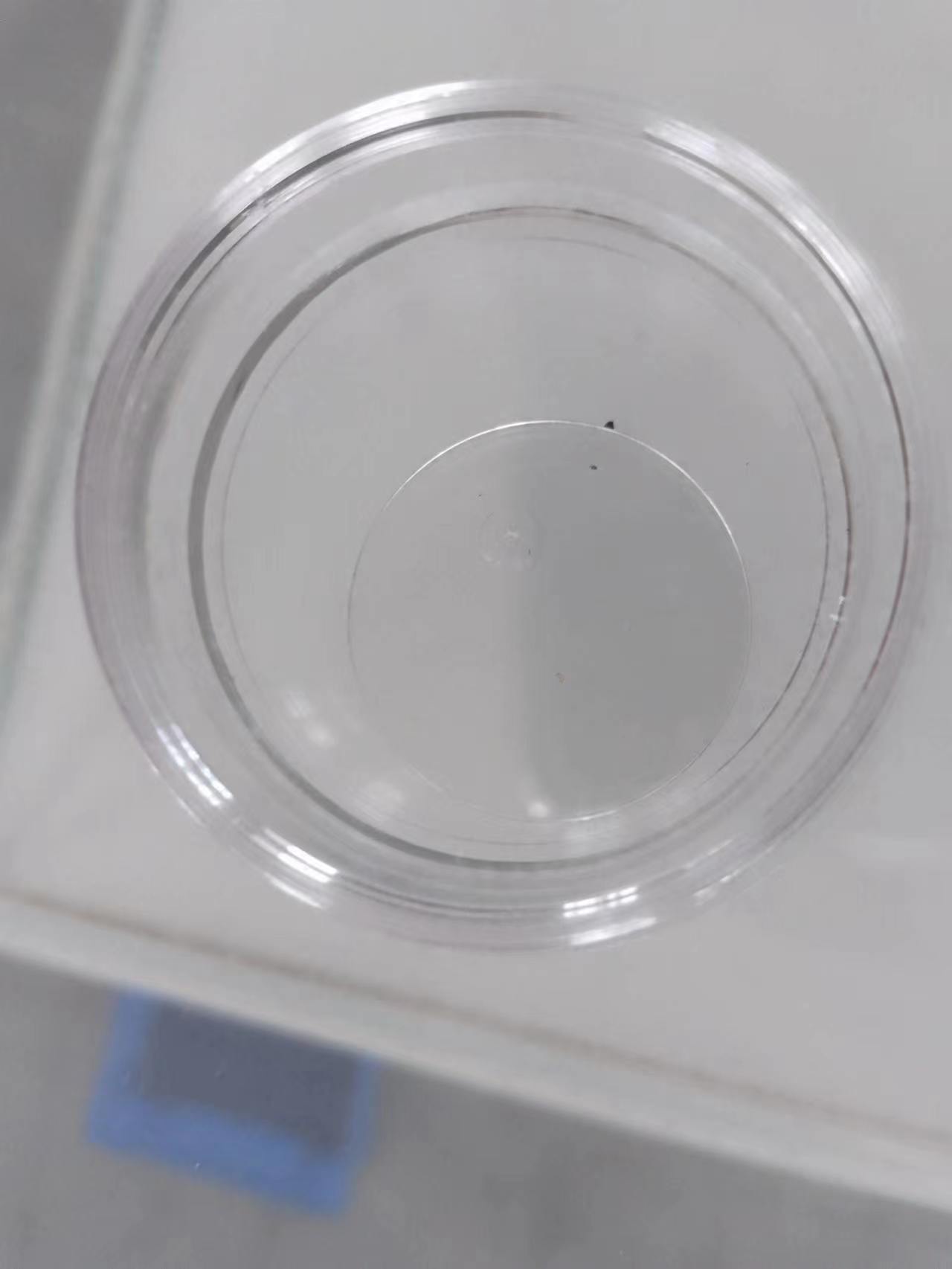 晶圆退火后产品